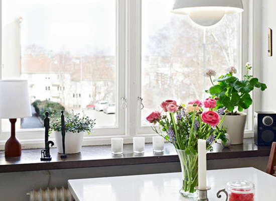 綠植租賃中客廳綠植擺放的風水禁忌